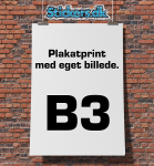 Plakat billede B3-450